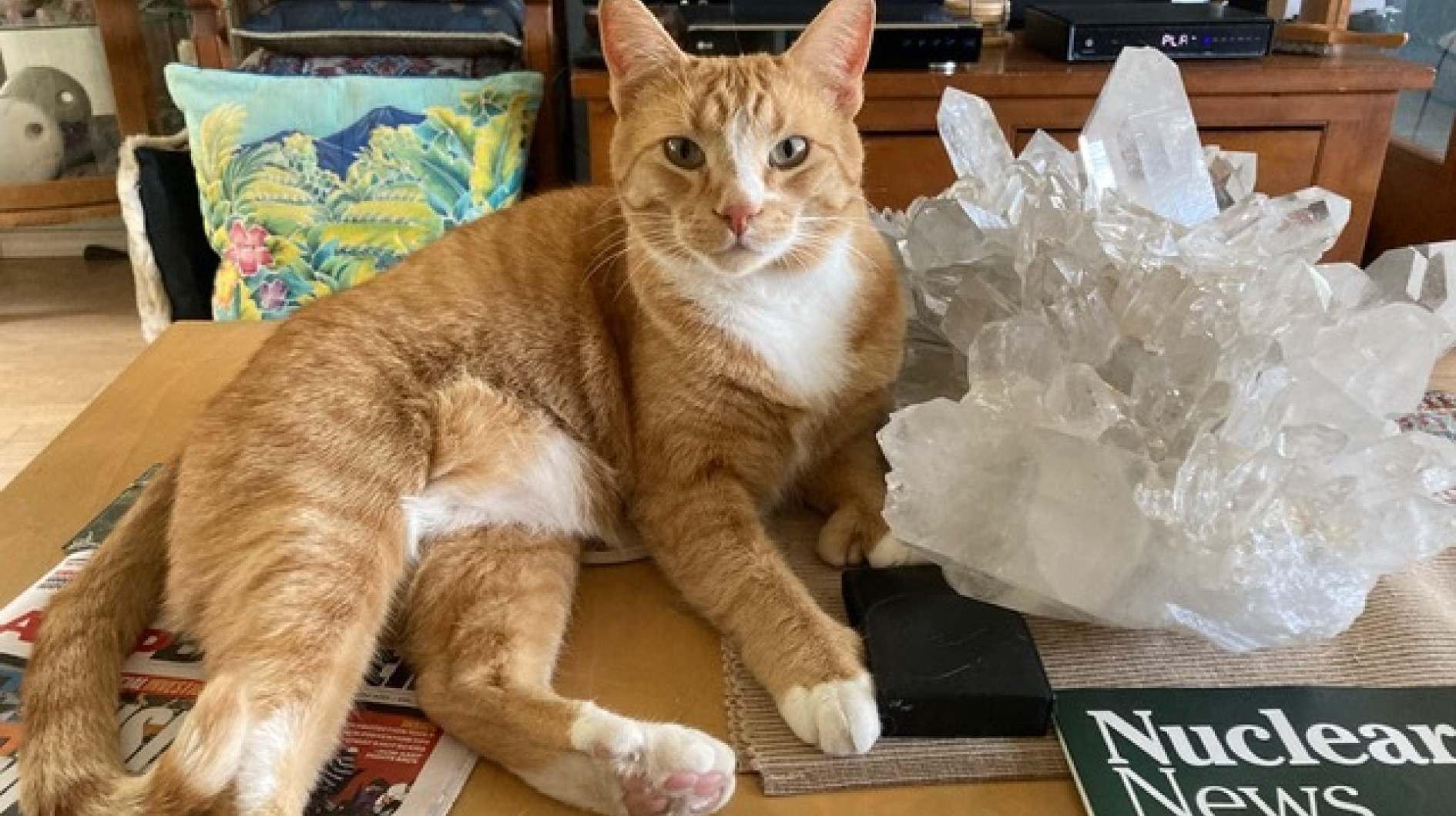 Why are we so afraid of nuclear?  